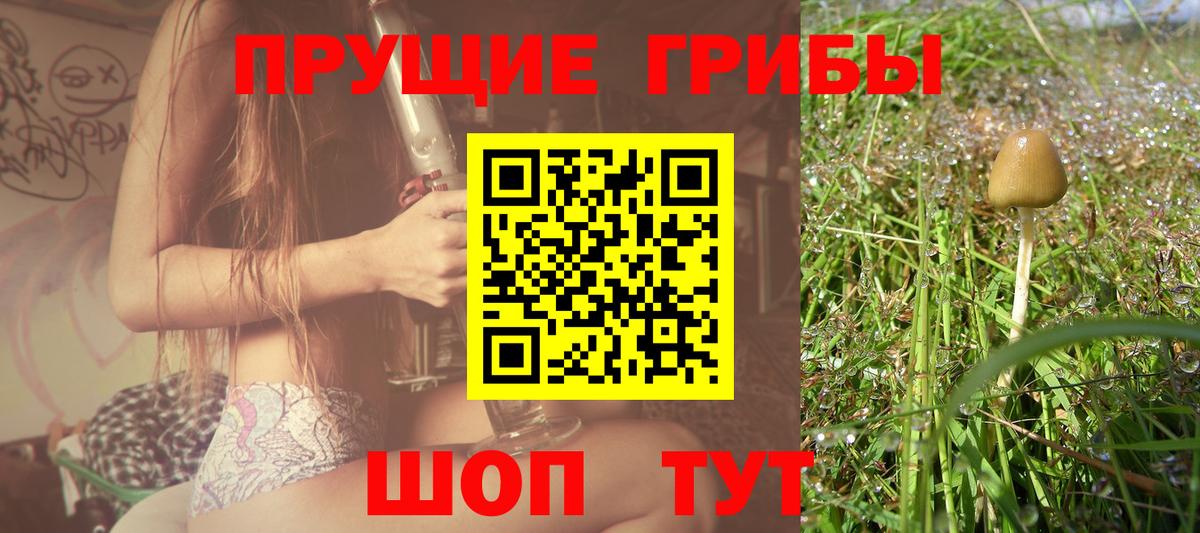Горячий Ключ  Псилоцибиновые грибы Cubensis  Вход с VPN  Галлюциногенные грибы мицелий 