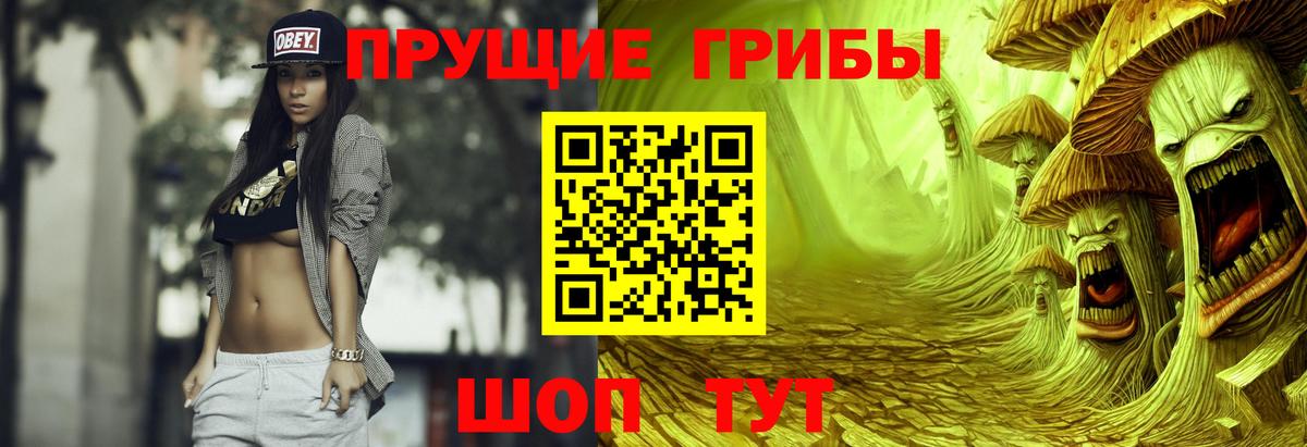 Галлюциногенные грибы Cubensis Горячий Ключ